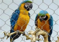 保護のためのステンレス鋼ワイヤー ロープの網の塀/鳥の飼鳥園の金網の網