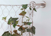 1.5mmの厚いステンレス鋼の植物の庭のための上昇の壁の網