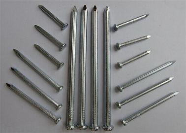 反腐食の金属線はQ195鋼鉄共通の鉄の釘を家具のために使用されて釘付けします