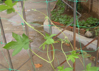 Hdpeの庭の葉の監視保護装置の格子垣を得るプラスチック網6.5フィートの