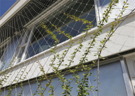 Ss304に上る100*100mmワイヤー ロープの網の緑植物
