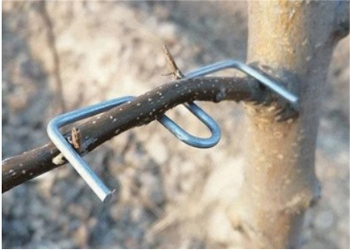 13cm 長さ 樹枝を圧迫するガルバン化ツール フーリット 木材の使用