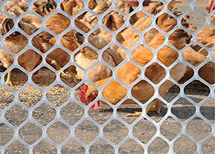 耐久性の鶏のアヒルの供給のためのプラスチック家禽の網および動物は保護します