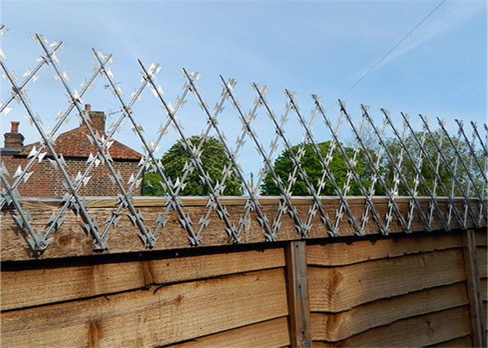 耐食性を囲う電流を通された鋼線の網塀/かみそりの網